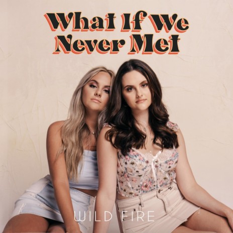 What If We Never Met | Boomplay Music