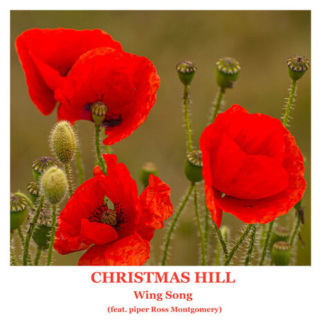 CHRISTMAS HILL ft. piper Ross Montgomery | Boomplay Music