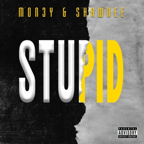 Stupid ft. Shawnee | Boomplay Music