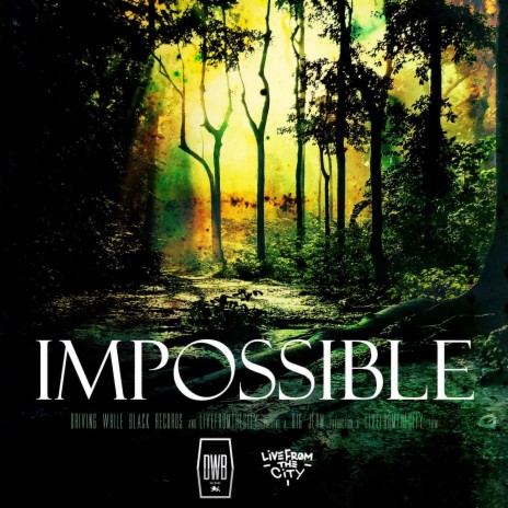 Impossible (Radio Edit) | Boomplay Music