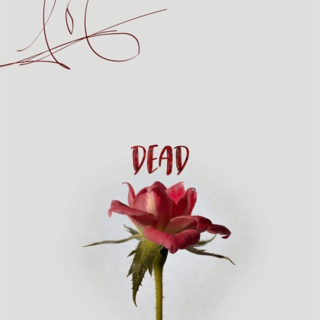 Dead | Boomplay Music