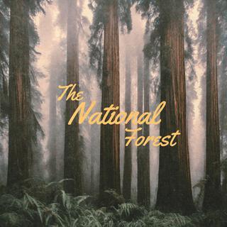 The National Forest