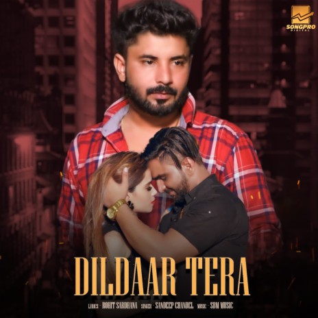 Dildaar Tera ft. Rohit Sardhana | Boomplay Music