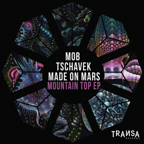 Mountain Top ft. Made On Mars & Tschavek | Boomplay Music