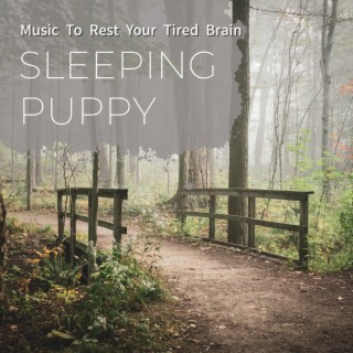 Music to Rest Your Tired Brain