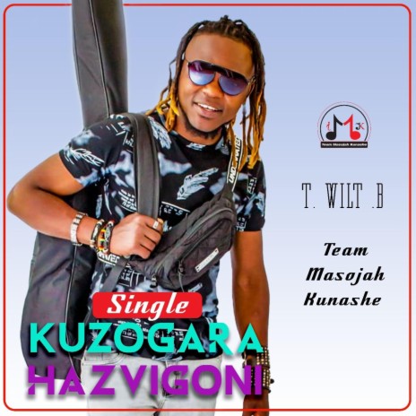 Kuzogara Hazvigoni | Boomplay Music