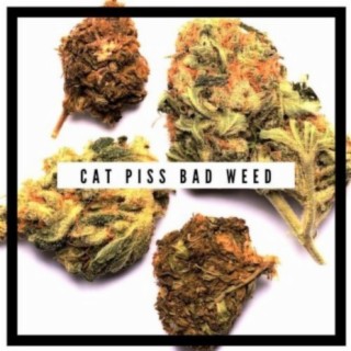 Cat Piss Bad Weed