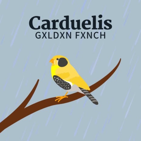 Carduelis