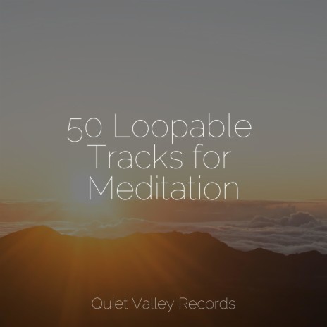 Welness and Calmness ft. Yoga Namaste & Kings of Nature | Boomplay Music