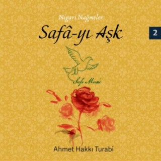 Ahmet Hakkı Turabi