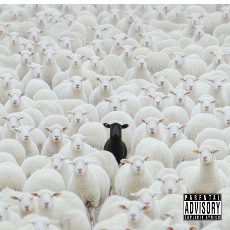 Black Sheep | Boomplay Music