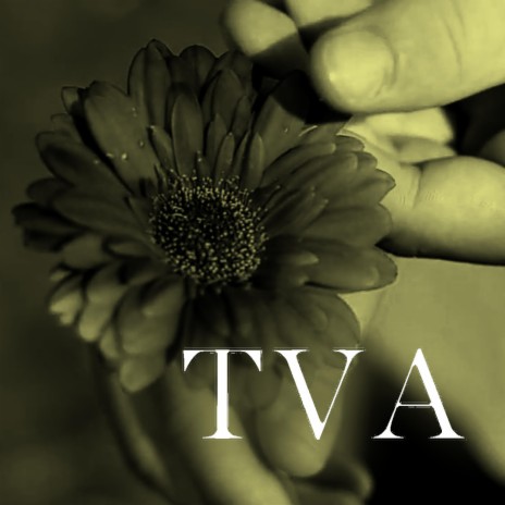 TVA | Boomplay Music