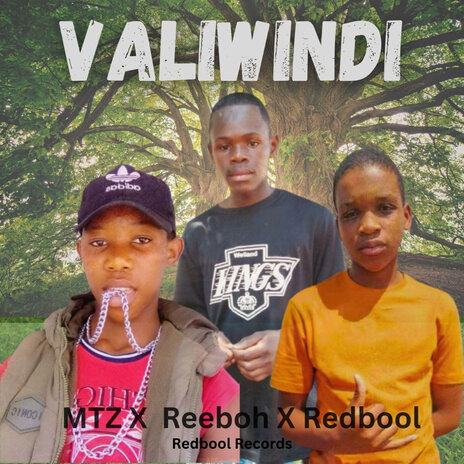 Valiwindi ft. MTZ & Reeboh | Boomplay Music