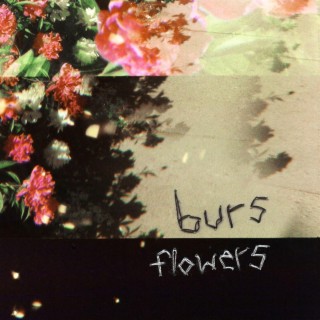 Flowers lyrics | Boomplay Music