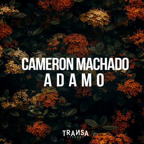 Adamo | Boomplay Music