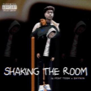 Shaking The Room