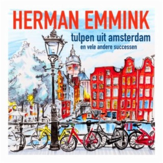 Herman Emmink