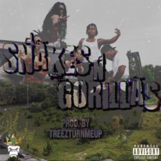 Snakes N Gorillas