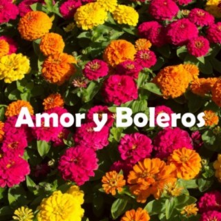 Amor y Boleros