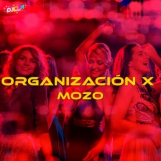 Organización X