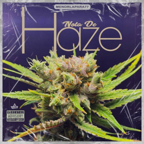 Nota de Haze | Boomplay Music