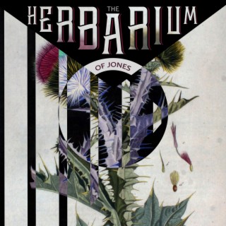 The Herbarium