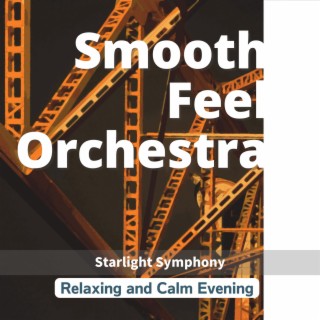 Relaxing and Calm Evening - Starlight Symphony