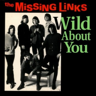 Wild About You - single