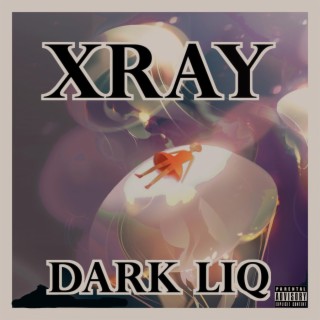 DARK LIQ lyrics | Boomplay Music