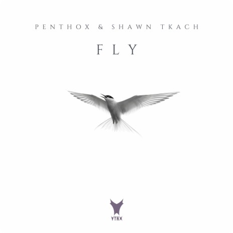 Fly ft. Shawn Tkach | Boomplay Music