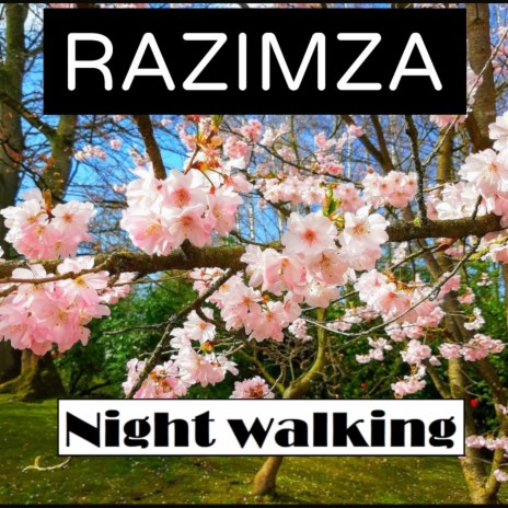 Night walking | Boomplay Music
