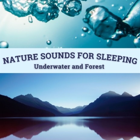 Nature Sounds for Sleeping