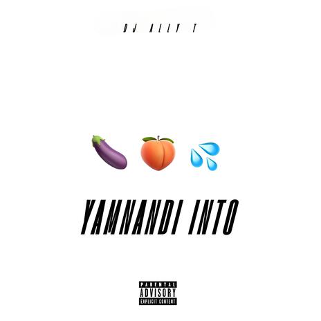 Yamnandi into (Stena Revisit) ft. DJ Mhlengi SA