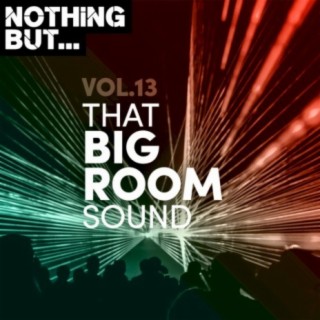 Nothing But... That Big Room Sound, Vol. 13