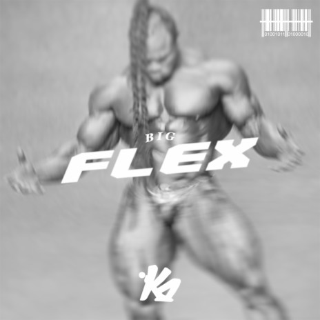 BIG FLEX | Boomplay Music