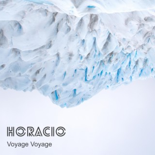 Voyage Voyage