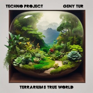 Terrarium's True World