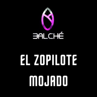 El zopilote mojado