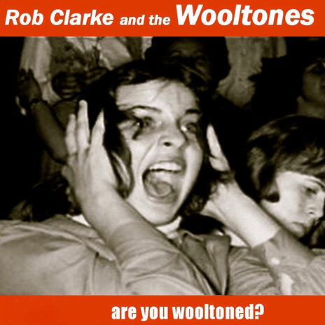 Are You Wooltoned? ft. The Wooltones | Boomplay Music