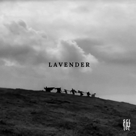 Lavender | Boomplay Music