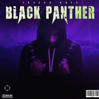 Black Panther! lyrics | Boomplay Music