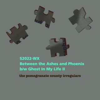 S2022-WX Between the Ashes and Phoenix b/w Ghost In My Life II