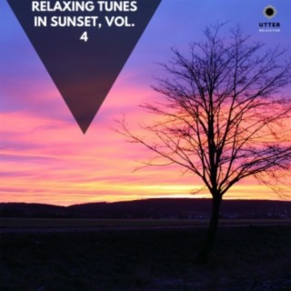 Relaxing Tunes in Sunset, Vol. 4