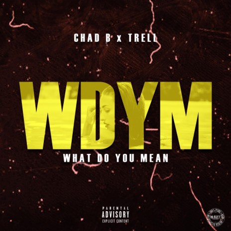 what do you mean WDYM ft. Trell | Boomplay Music