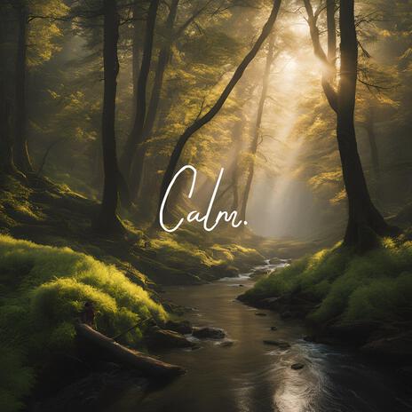 Calm ft. Ambient Worship Collective | Boomplay Music