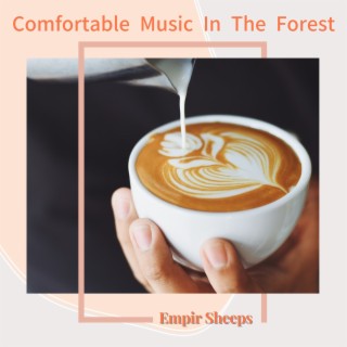 Comfortable Music In The Forest