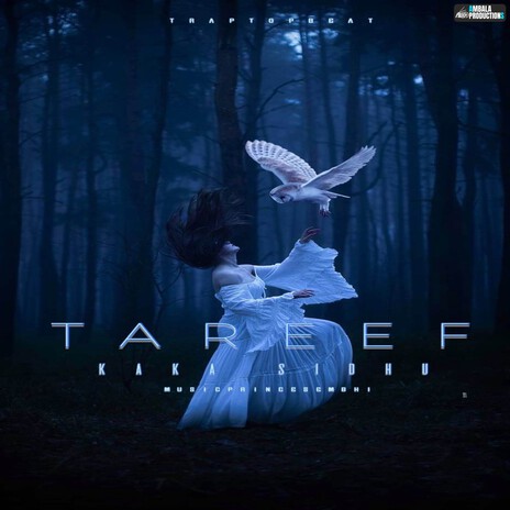 Tareef | Boomplay Music