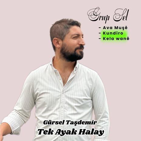 Tek Ayak Halay Ava muşe Kundiro | Boomplay Music