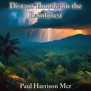 Distant Thunder in the Rainforest