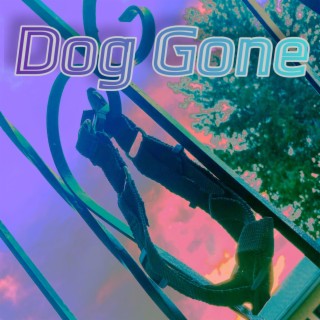 Dog Gone